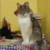 Отзыв от Катюша Хромова
